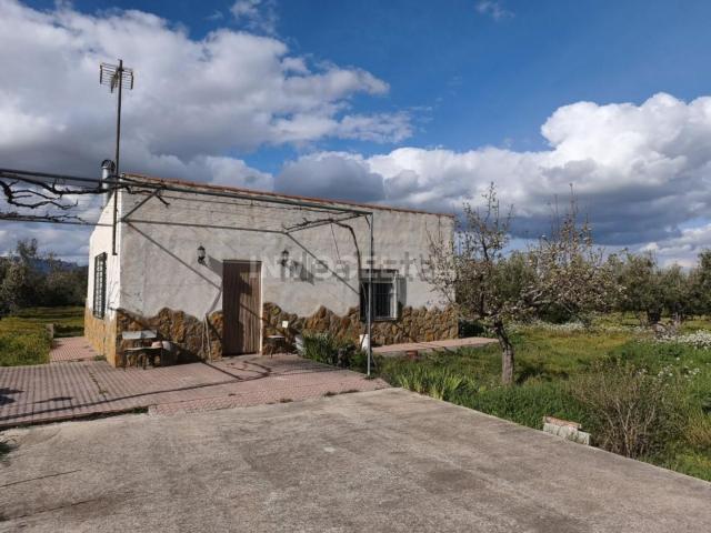Casa rústica, Baza
