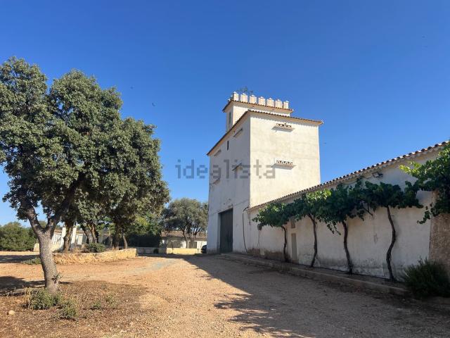 Casa rústica, Balazote
