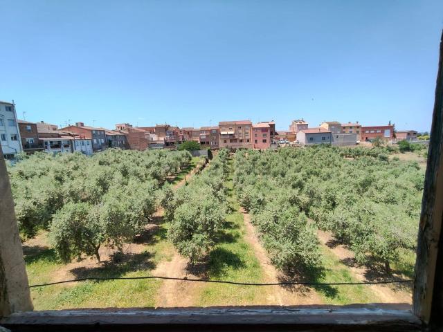 Casa rústica, Bellaguarda