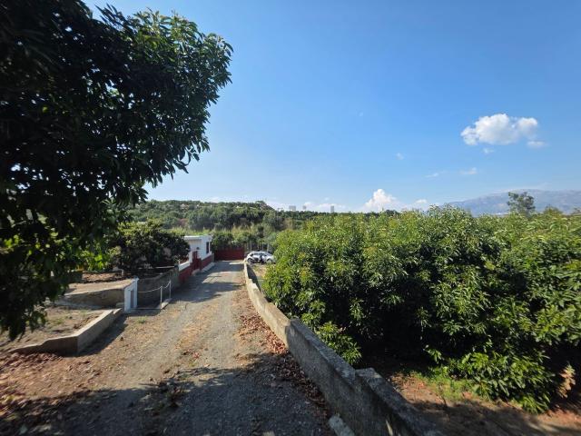 Casa rústica, Benamocarra