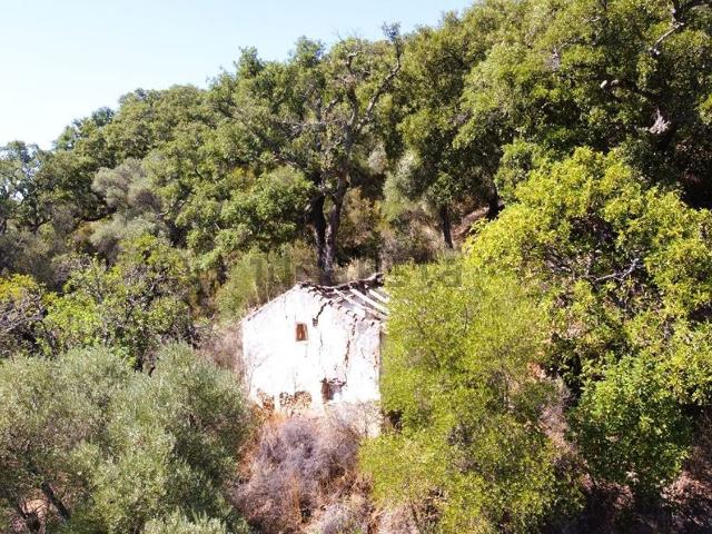 Casa rústica, Benarraba