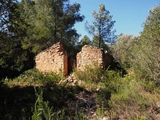 Casa rústica, Benifallet