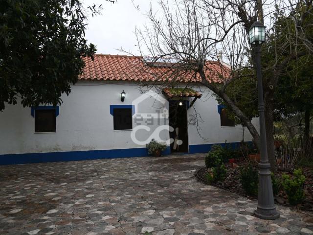Casa rústica, Branca