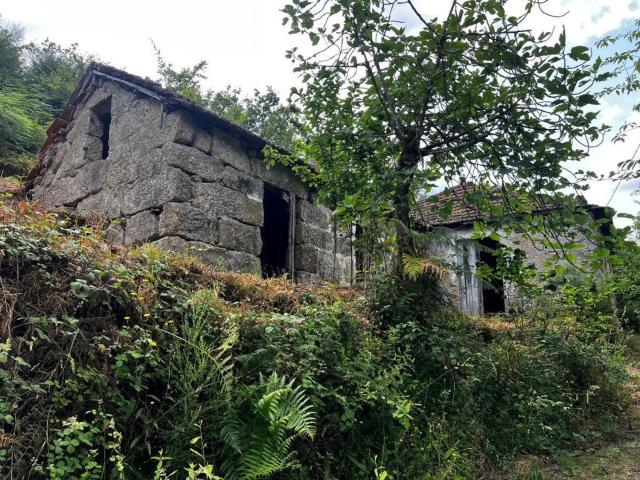 Casa rústica, Gondar