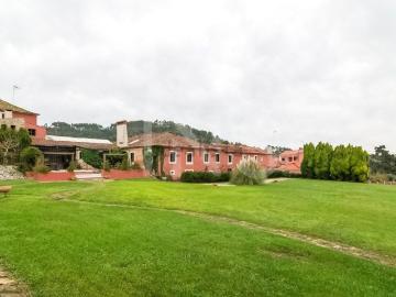 Casa rústica, Olival