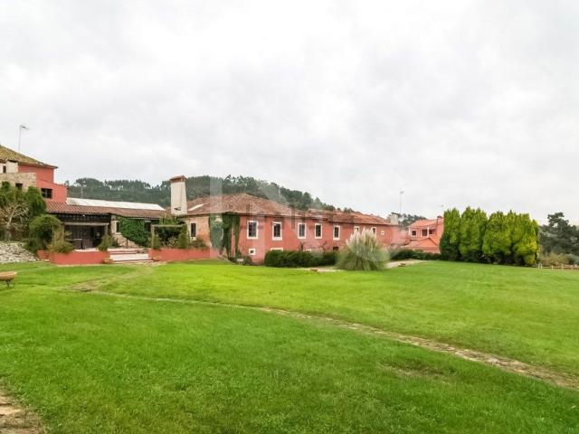 Casa rústica, Olival