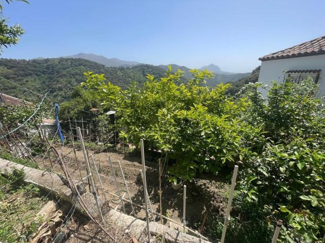 Casa rústica, Genalguacil
