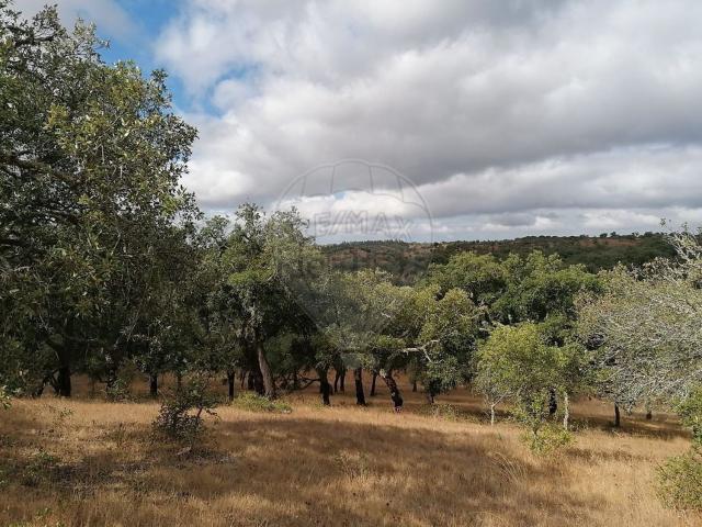 Casa rústica, Grândola e Santa Margarida da Serra