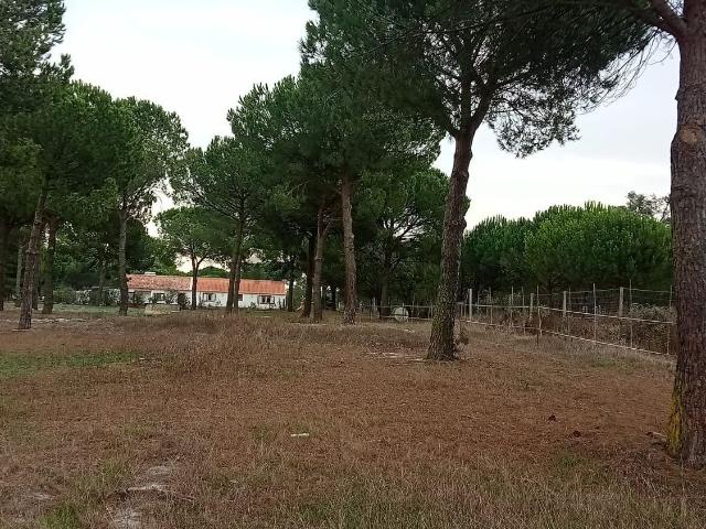 Casa rústica, Grândola e Santa Margarida da Serra