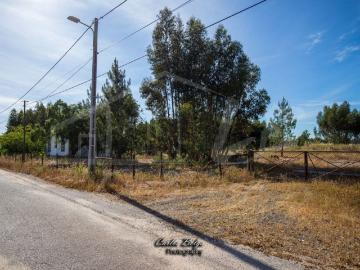 Casa rústica, Grândola e Santa Margarida da Serra