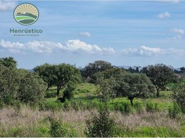 Casa rústica, Grândola e Santa Margarida da Serra
