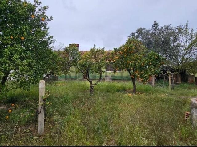 Casa rústica, Grândola e Santa Margarida da Serra