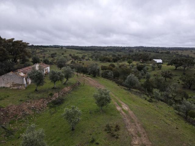 Casa rústica, Grândola e Santa Margarida da Serra