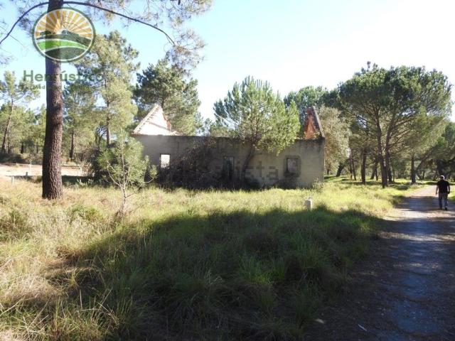 Casa rústica, Grândola e Santa Margarida da Serra