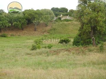 Casa rústica, Grândola e Santa Margarida da Serra