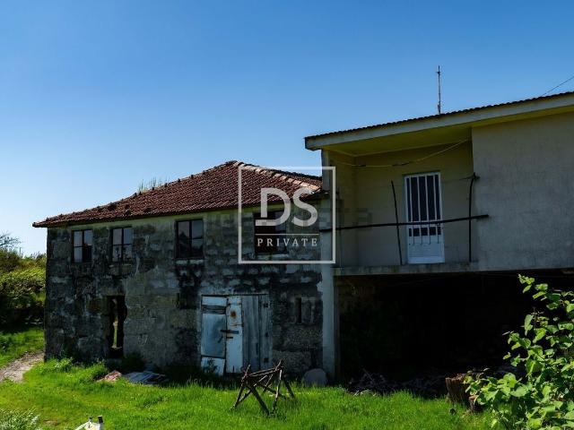 Casa rústica, Grilo