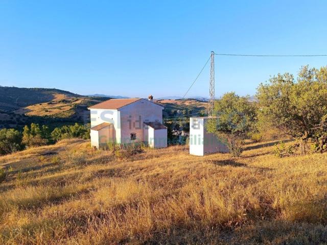 Casa rústica, Guaro