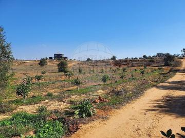 Guia, Albufeira, Distrito de Faro, Algarve