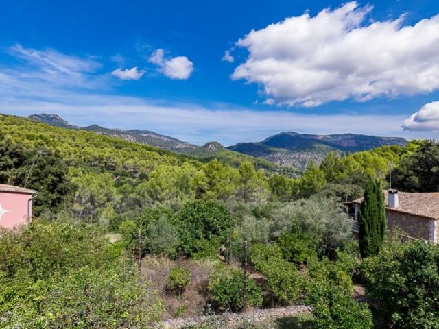 Casa rústica de alto standing de 4 dormitorios en venta Puigpunyent, Baleares