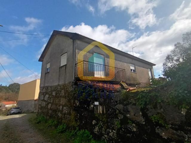 Casa Rústica em Pedra com Lagar e Oliveira Centenária