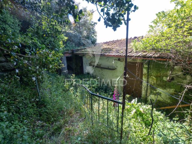 CASA RÚSTICA EM RUÍNA BOURO Santa Maria, Amares