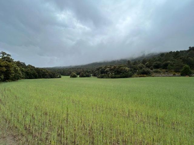 Casa rústica, El Toro