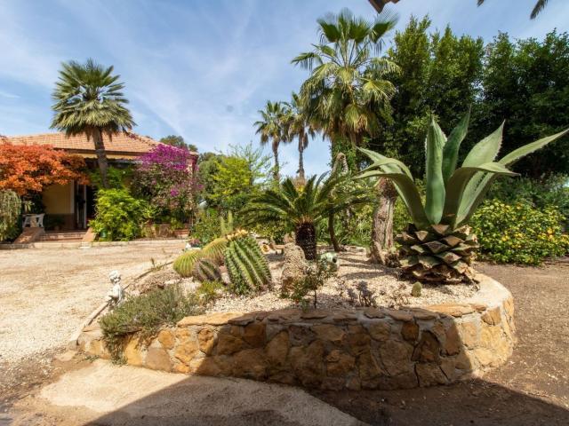 Casa rústica, Elche / Elx
