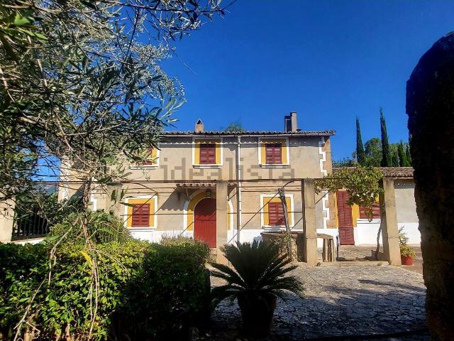 Casa rústica, Establiments, Palma de Mallorca
