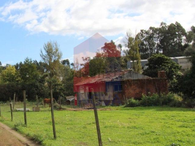 Casa rústica, Esqueiros Nevogilde Travassós