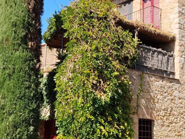 Casa rústica, Forallac