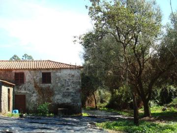 Casa rústica, Forjães