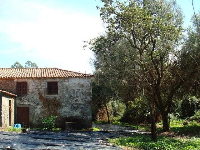 Casa rústica, Forjães