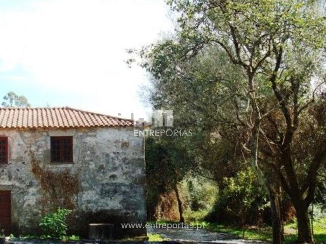 Casa rústica, Forjães