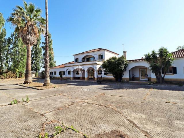 Casa rústica, Foros de Salvaterra