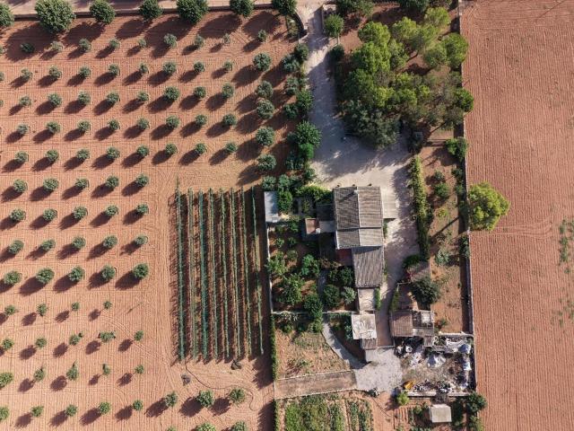 Casa rústica, Felanitx