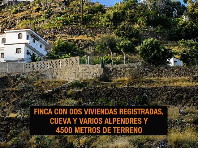 Casa rústica, Ingenio
