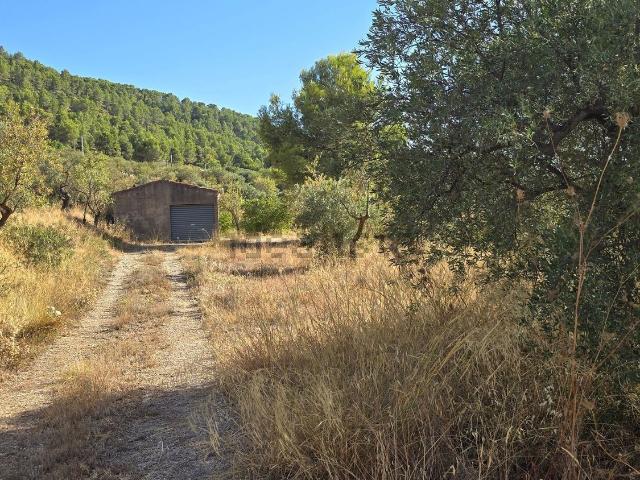 Casa rústica, Ibi