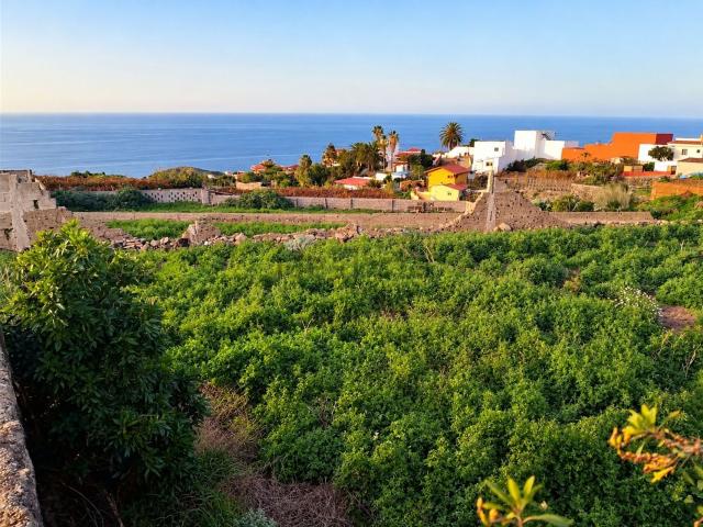 Casa rústica, Icod de los Vinos