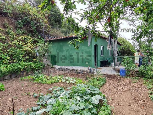 Casa rústica, Icod de los Vinos