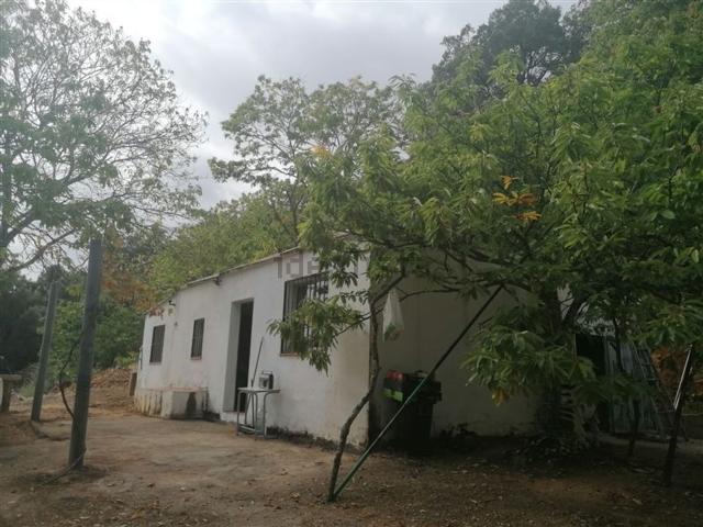 Casa rústica, Jubrique
