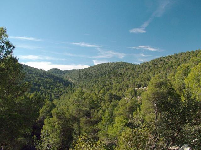 Casa rústica, Onil