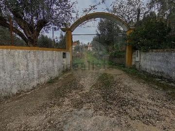 Casa rústica, Olalhas