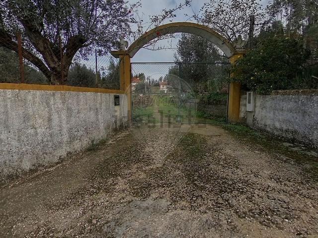 Casa rústica, Olalhas