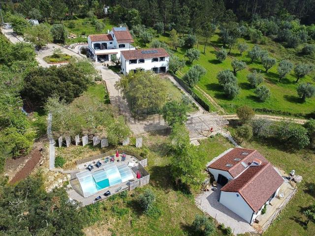 Casa rústica, Olival