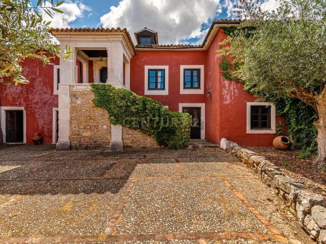 Casa rústica, Olival