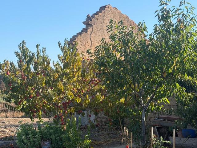 Casa rústica, Oliveira do Bairro