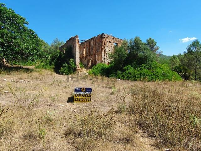 Casa rústica, Olivella