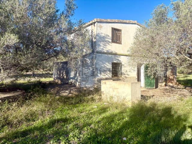 Casa rústica, L&apos Ampolla