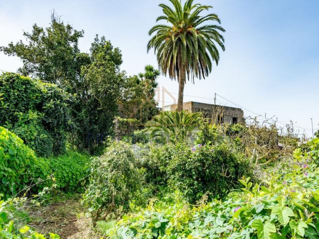 Casa rústica, La Victoria de Acentejo
