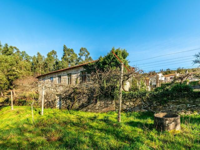 Casa rústica, Lagares e Figueira